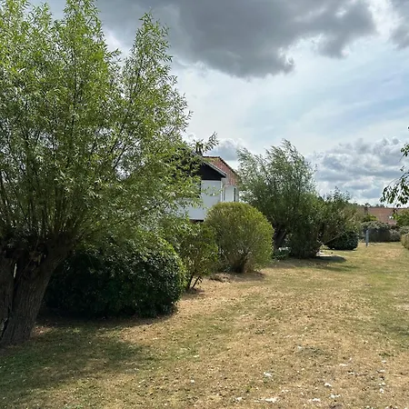 Wilgenbos * Coxyde